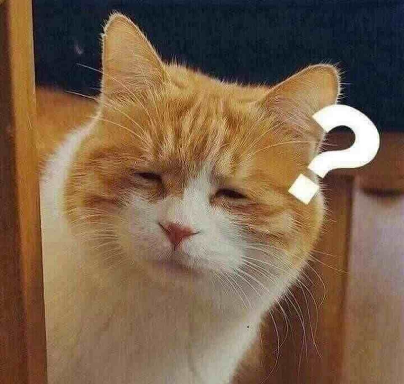 Tìm hiểu về meme hỏi chấm thú vị