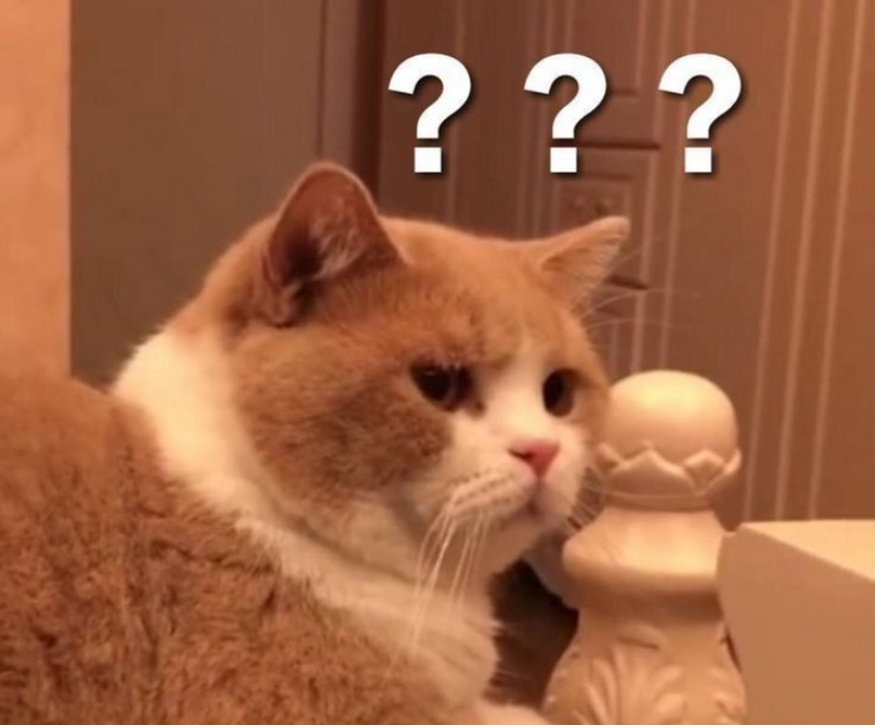 Các mẫu meme thể hiện sự ngạc nhiên