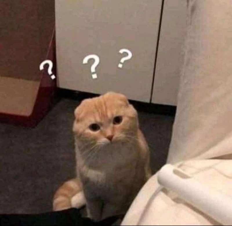 Bật cười trước hàng loạt meme hỏi chấm