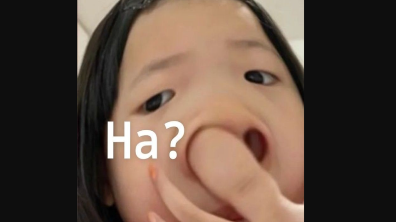 Meme khinh bỉ dễ thương