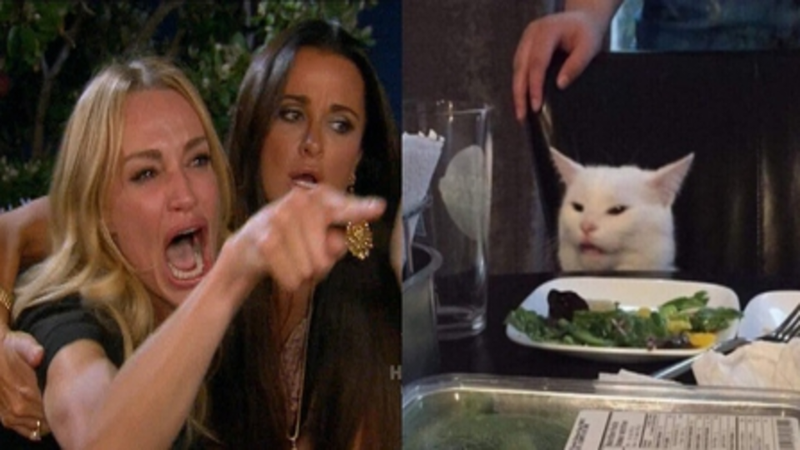Meme khinh bỉ “Woman Yelling at a cat”