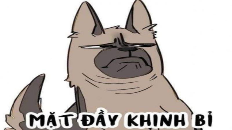 Meme khinh bỉ chủ đề chó