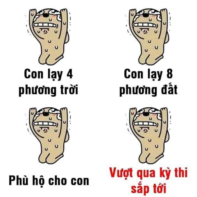 Biểu cảm hài hước trong các mẫu meme lạy
