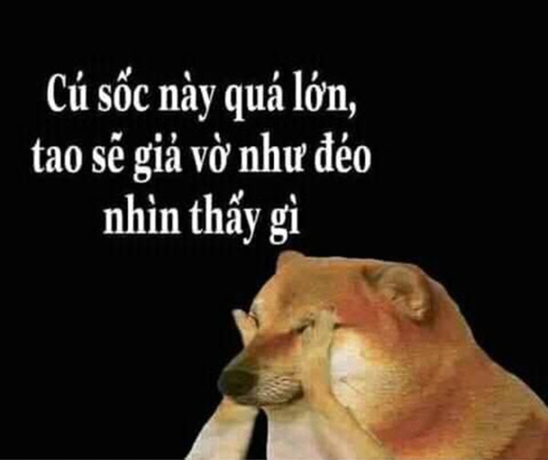 Meme chú chó biểu cảm hài hước