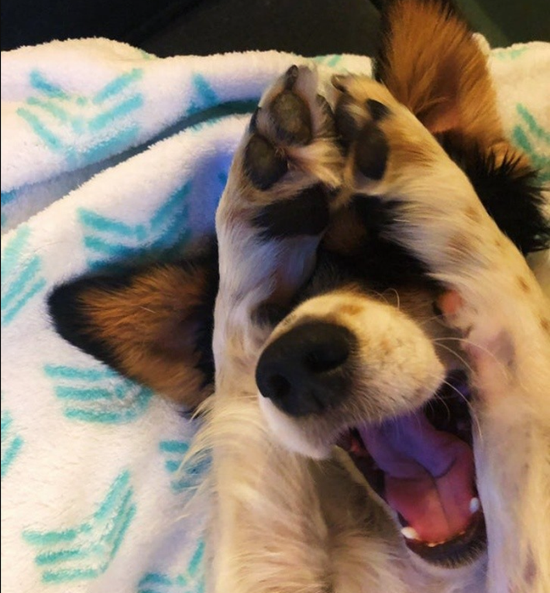 Meme ngại ngùng cute và hài hước