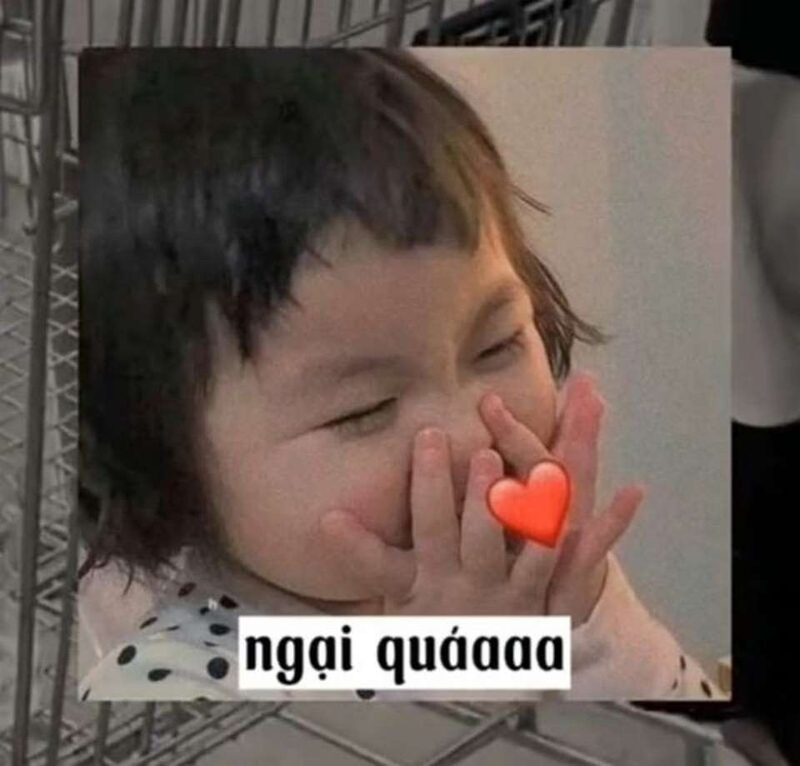 Sức hút của meme ngại ngùng với cộng đồng