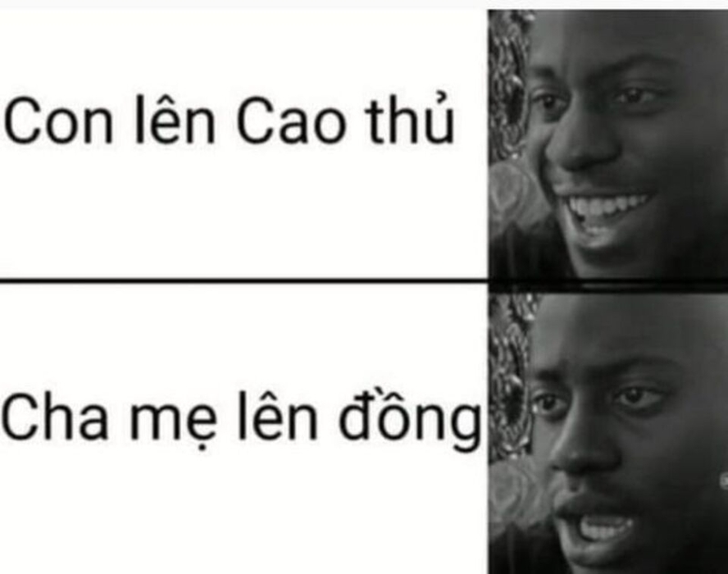 Meme phản ánh về cuộc sống