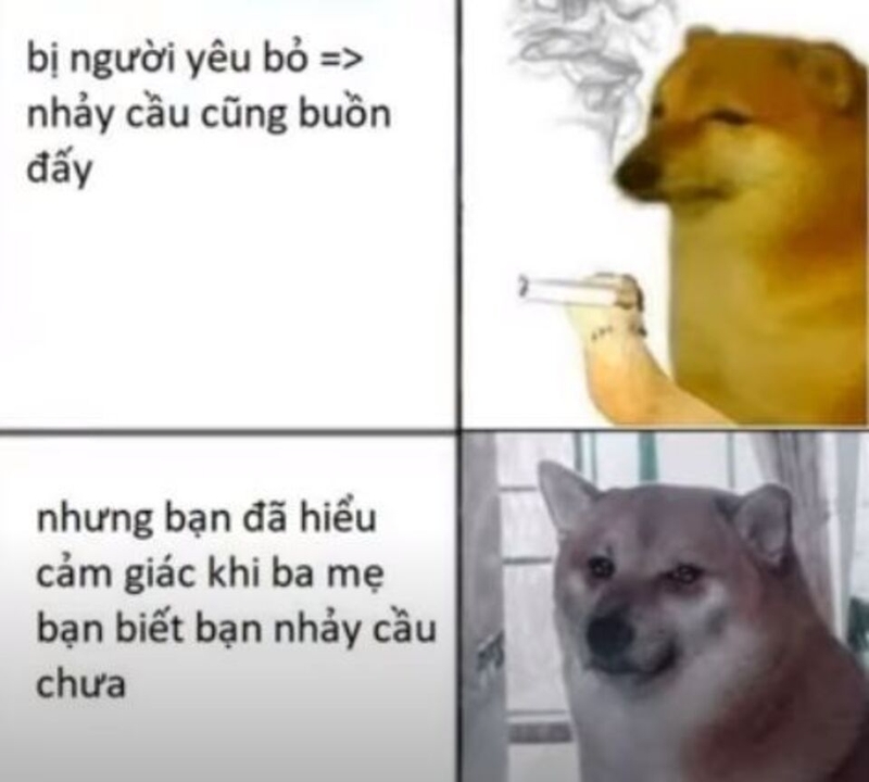 Meme là một hình thức truyền đạt thông tin