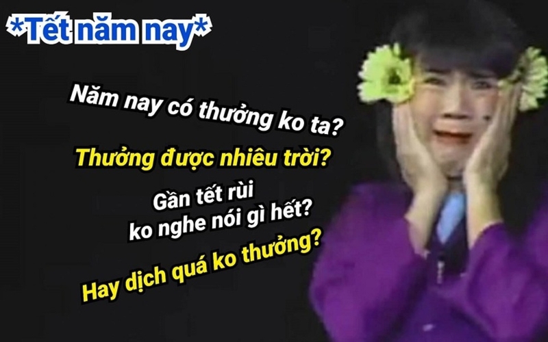Đồng cảm về lương thưởng ngày Tết qua meme