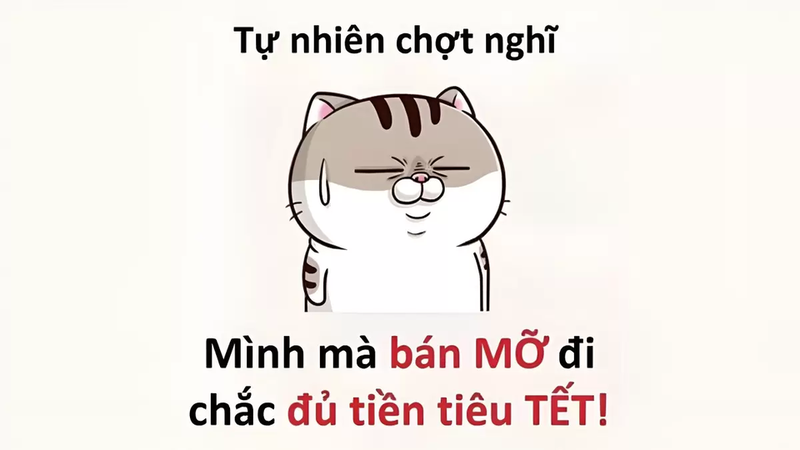 Bật cười với những mẫu meme ngày Tết