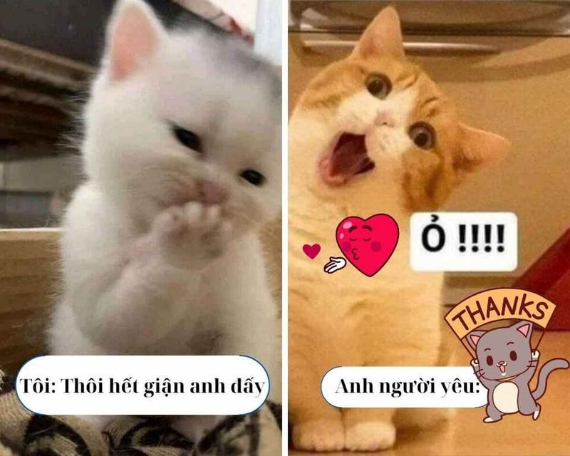 Những loại meme cảm ơn thịnh hành