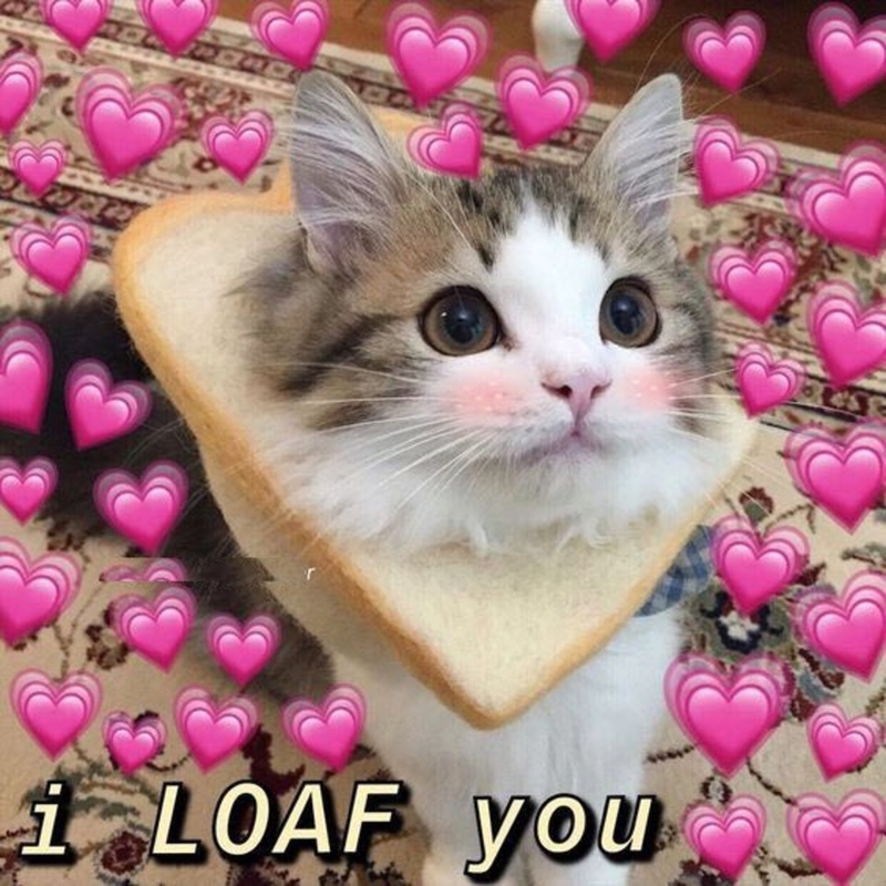 Thể hiện cảm xúc qua meme trên mạng xã hội