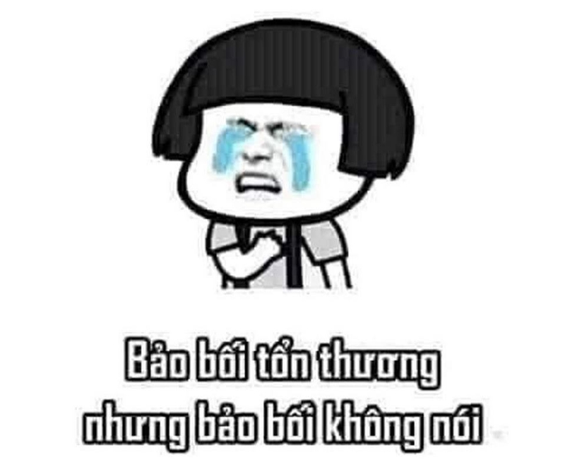 Xem ngay các mẫu meme tổn thương thú vị