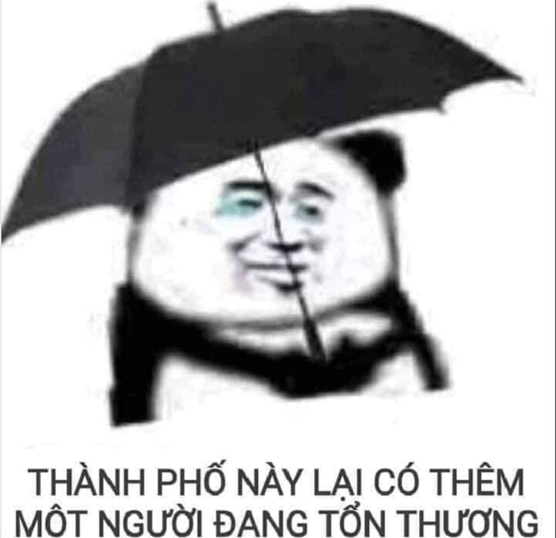 Các mẫu meme tổn thương hài hước