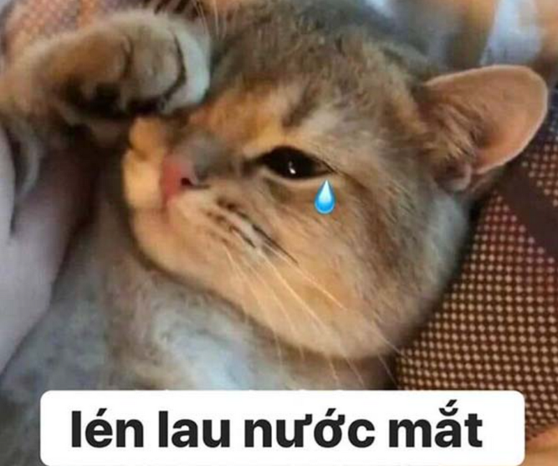 Tổng hợp meme tổn thương thịnh hành nhất
