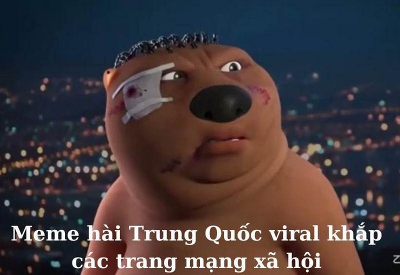 Những hình ảnh meme đáng xem nhất