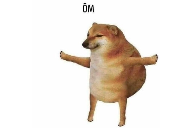 Mẫu meme yêu thương hình động vật