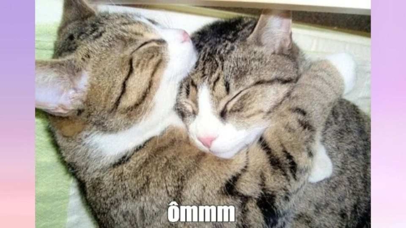 Meme ôm thể hiện tình cảm đến người thân ở xa
