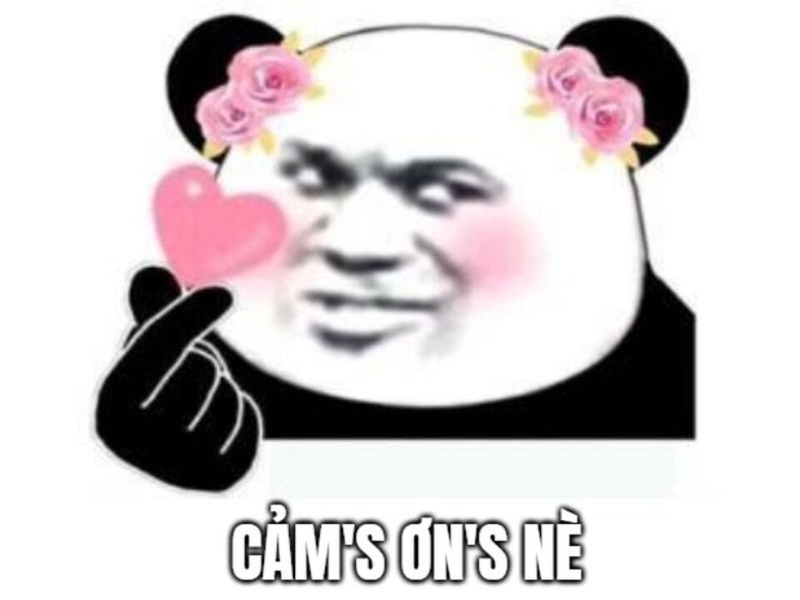 Meme cảm ơn với biểu cảm hài hước
