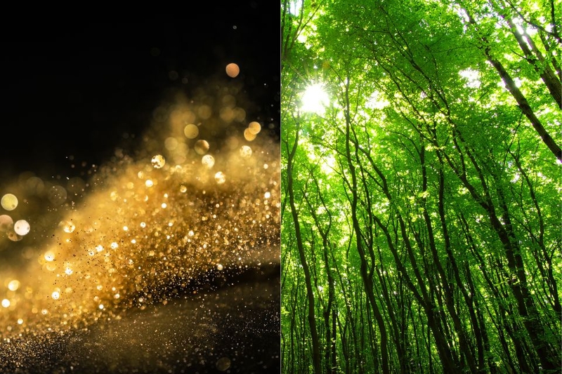 mệnh kim khắc gì (ảnh 2)