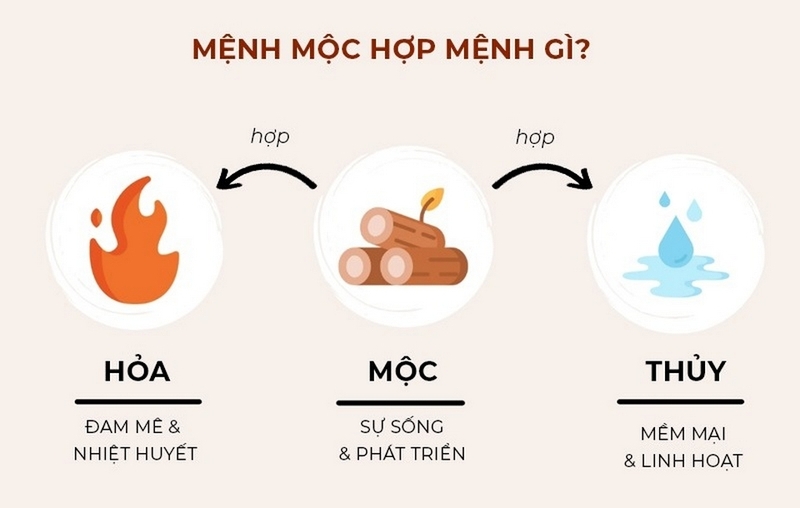 mệnh mộc hợp mệnh gì ảnh 1