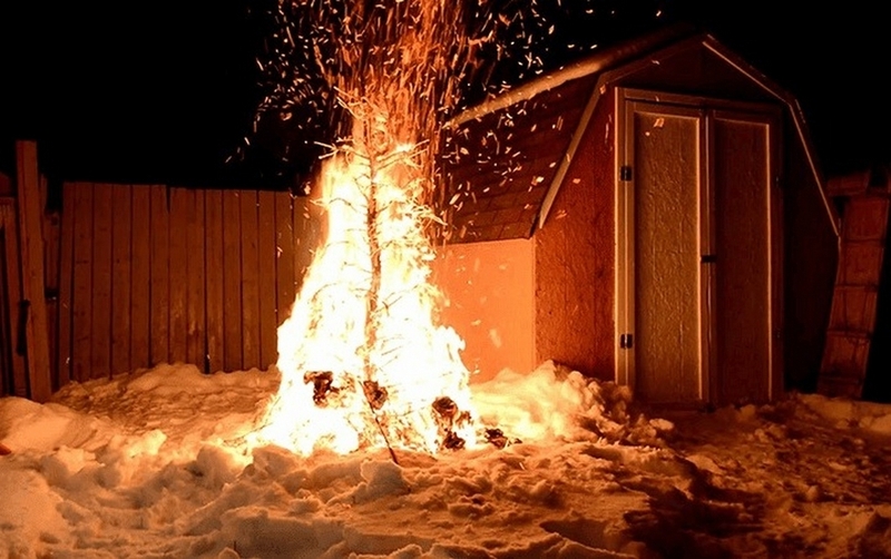 mệnh mộc hợp mệnh gì ảnh 4