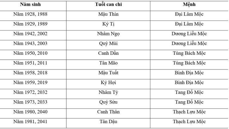 mệnh mộc hợp số nào ảnh 6.jpg