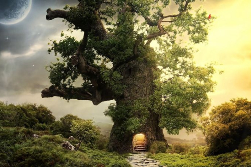 Mệnh Mộc khắc gì 9