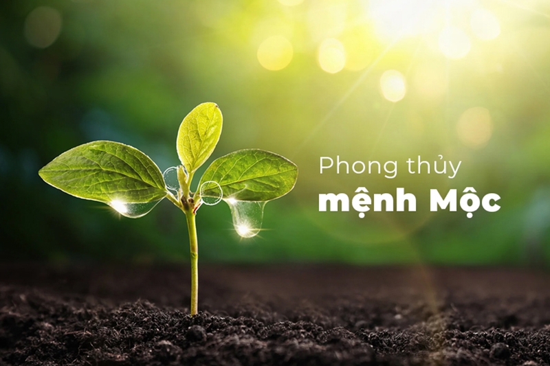 Mệnh Mộc khắc gì 3