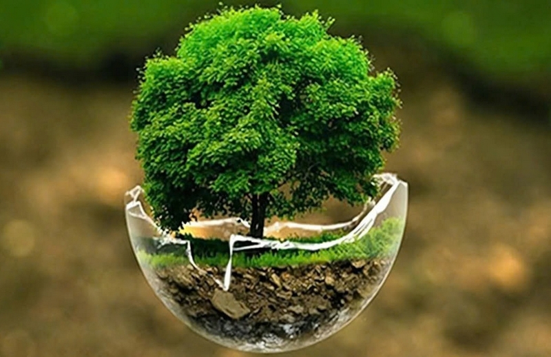Mệnh Mộc nhuộm tóc màu gì ảnh 1