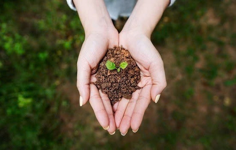 Mệnh Thổ nhuộm tóc màu gì ảnh 1