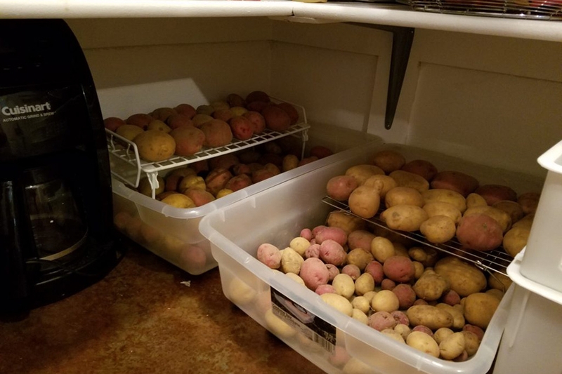 Mẹo bảo quản khoai tây không mọc mầm - 06