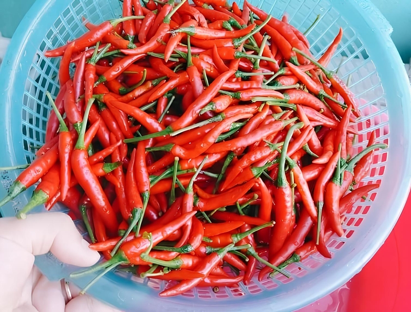 Học ngay 4 mẹo bảo quản ớt tươi đơn giản