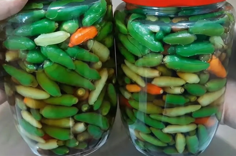 Những lưu ý khi bảo quản ớt
