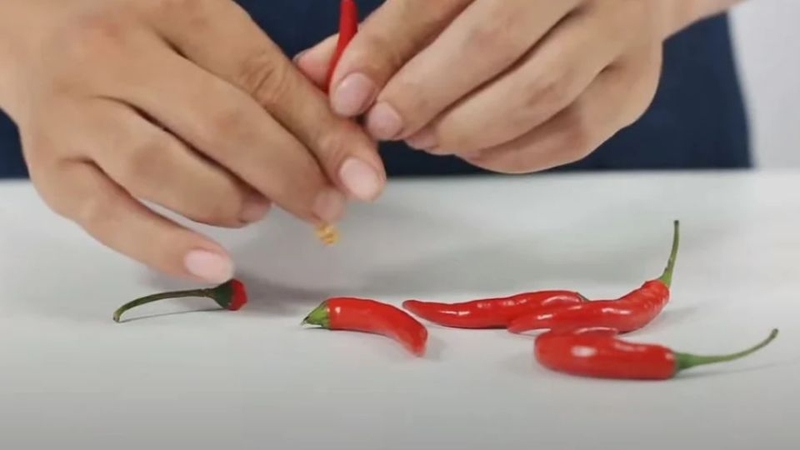 Cắt đôi ớt và dùng tay tách hạt