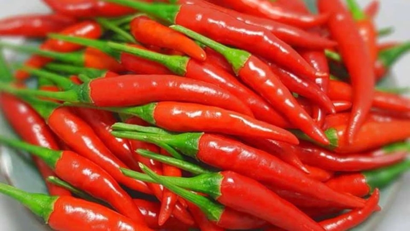 Ngâm ớt trong nước ấm