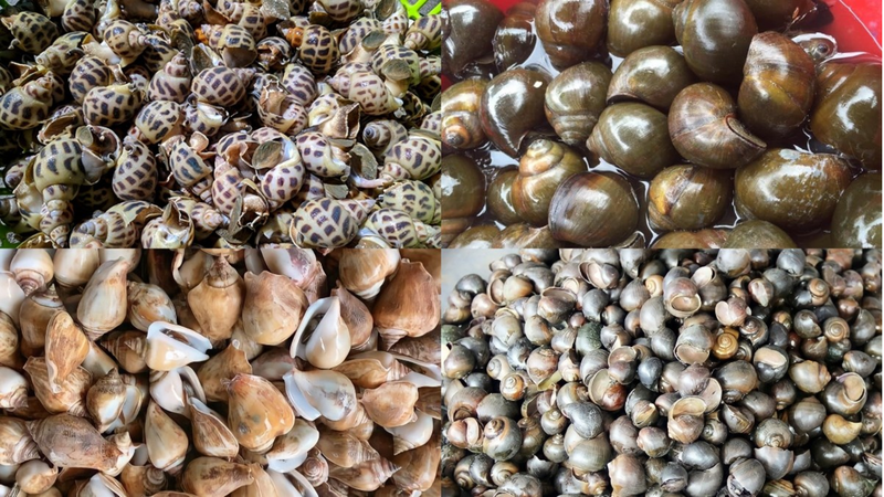Mì ốc hến 1