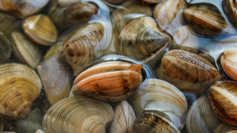 Mì ốc hến 2