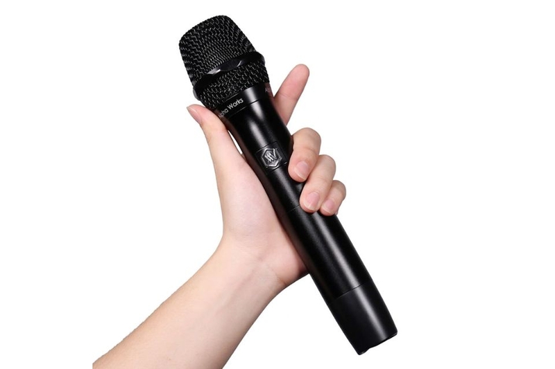 mic-karaoke-alpha-works-d2-2.jpg