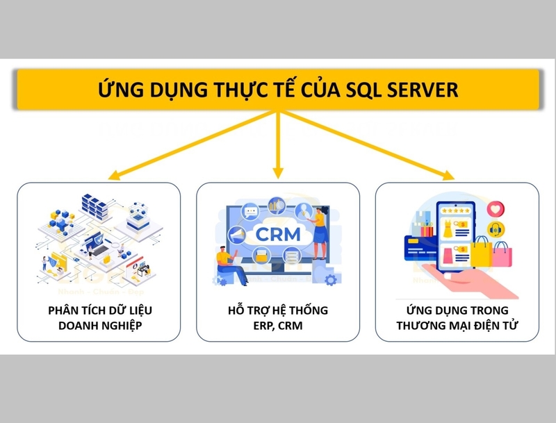 Tác dụng của MS SQL 2019 trong thực tế