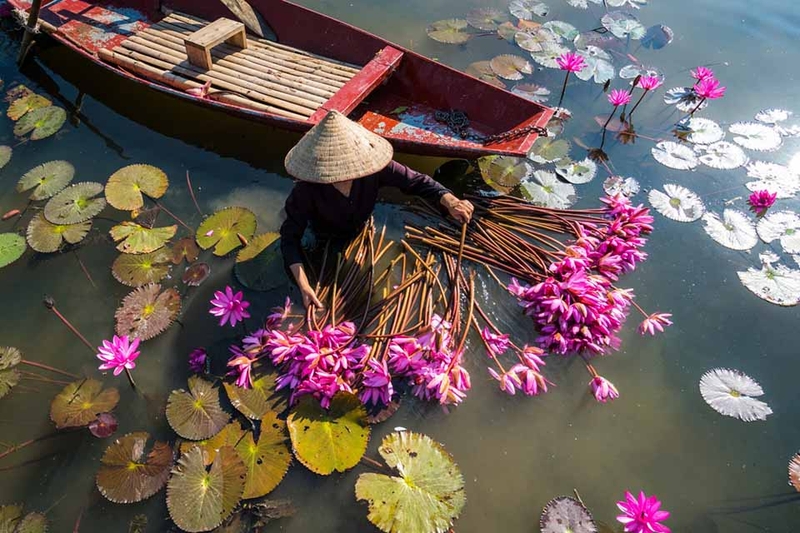 Miền Tây có bao nhiêu tỉnh 1