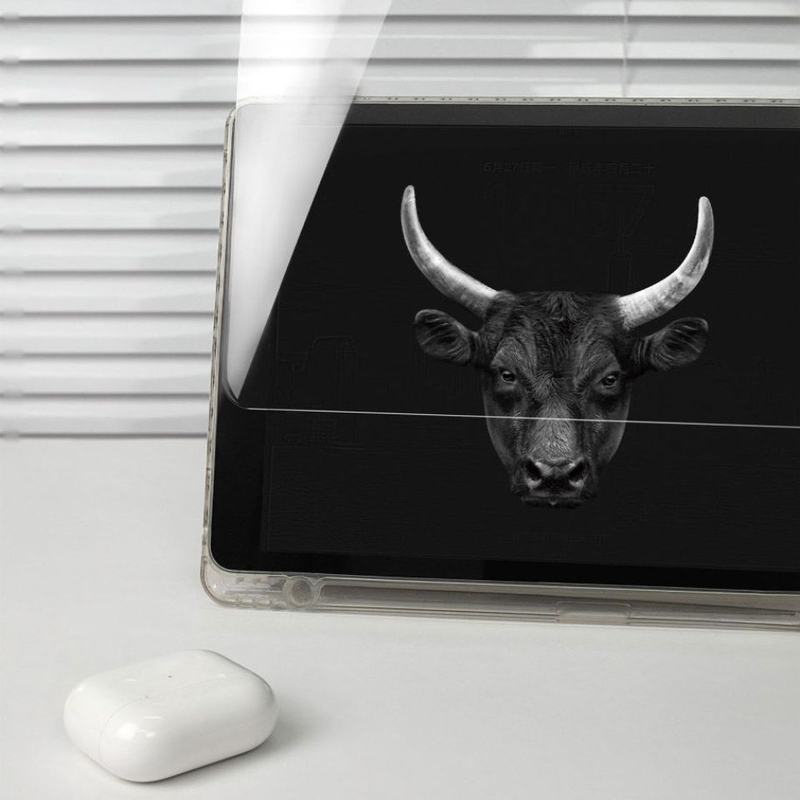 mieng-dan-man-hinh-kinh-cuong-luc-ipad-air-13-2025-kingbull-hd-premium-mipow-5.jpg