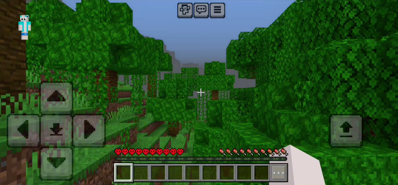 minecraft 1.21.41 - Hình 7