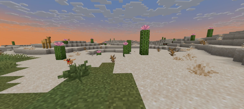 minecraft 1.21.72 - Hình 1
