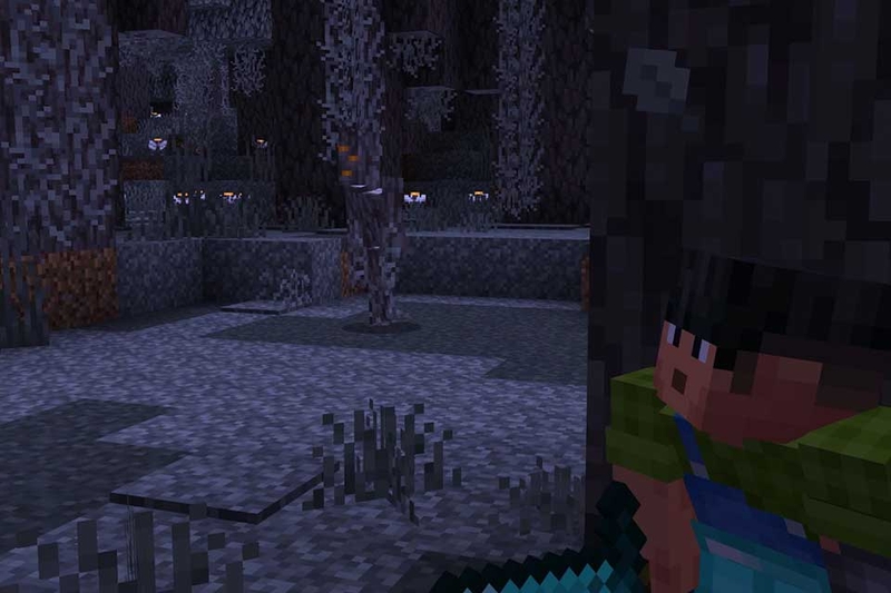 Minecraft 1.21.50 - 03
