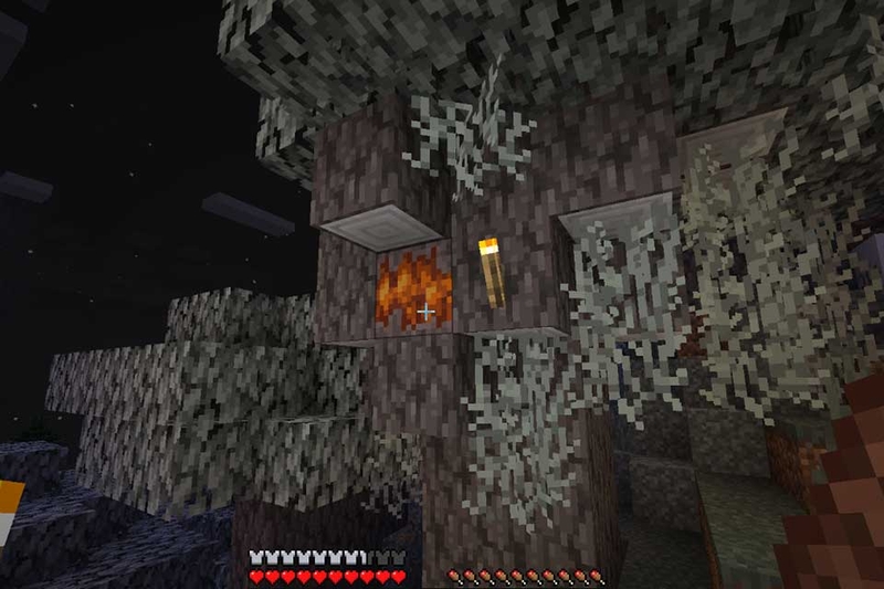 Minecraft 1.21.50 - 05