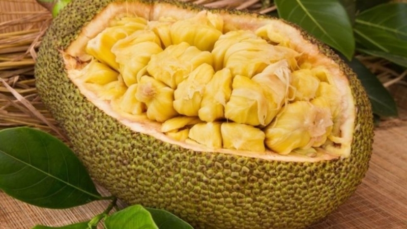 Chọn mít chín tự nhiên