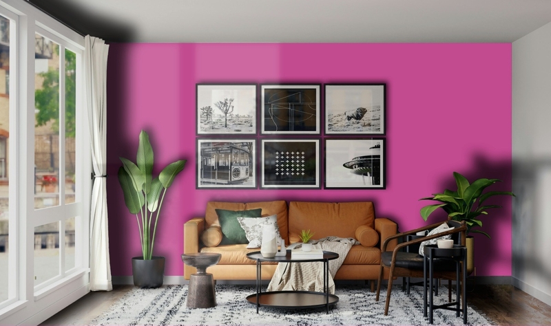 Màu của năm 2026 là gì 6