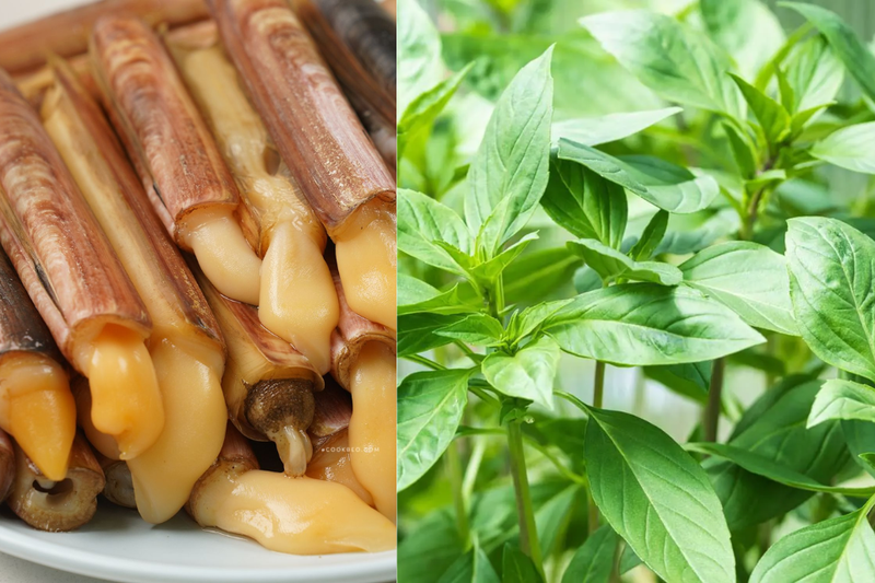 móng tay xào húng (1)