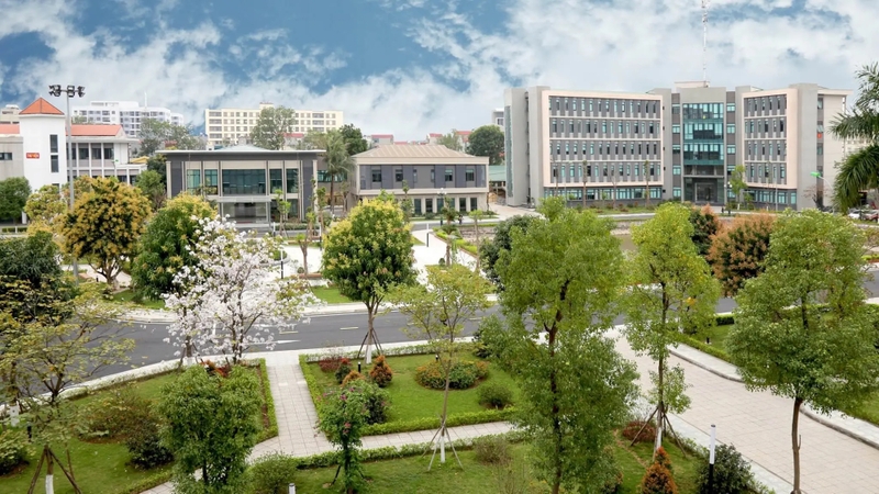MSA là trường gì (ảnh 4)